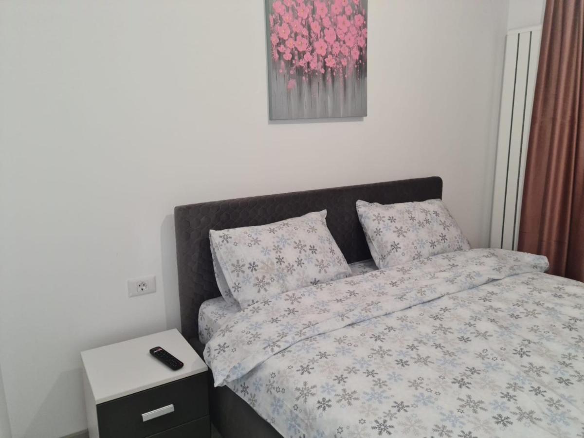 Apartament David Râmnicu Vâlcea Zewnętrze zdjęcie