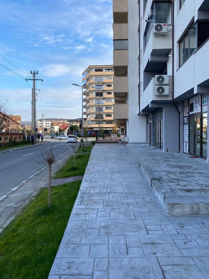 Apartament David Râmnicu Vâlcea Zewnętrze zdjęcie